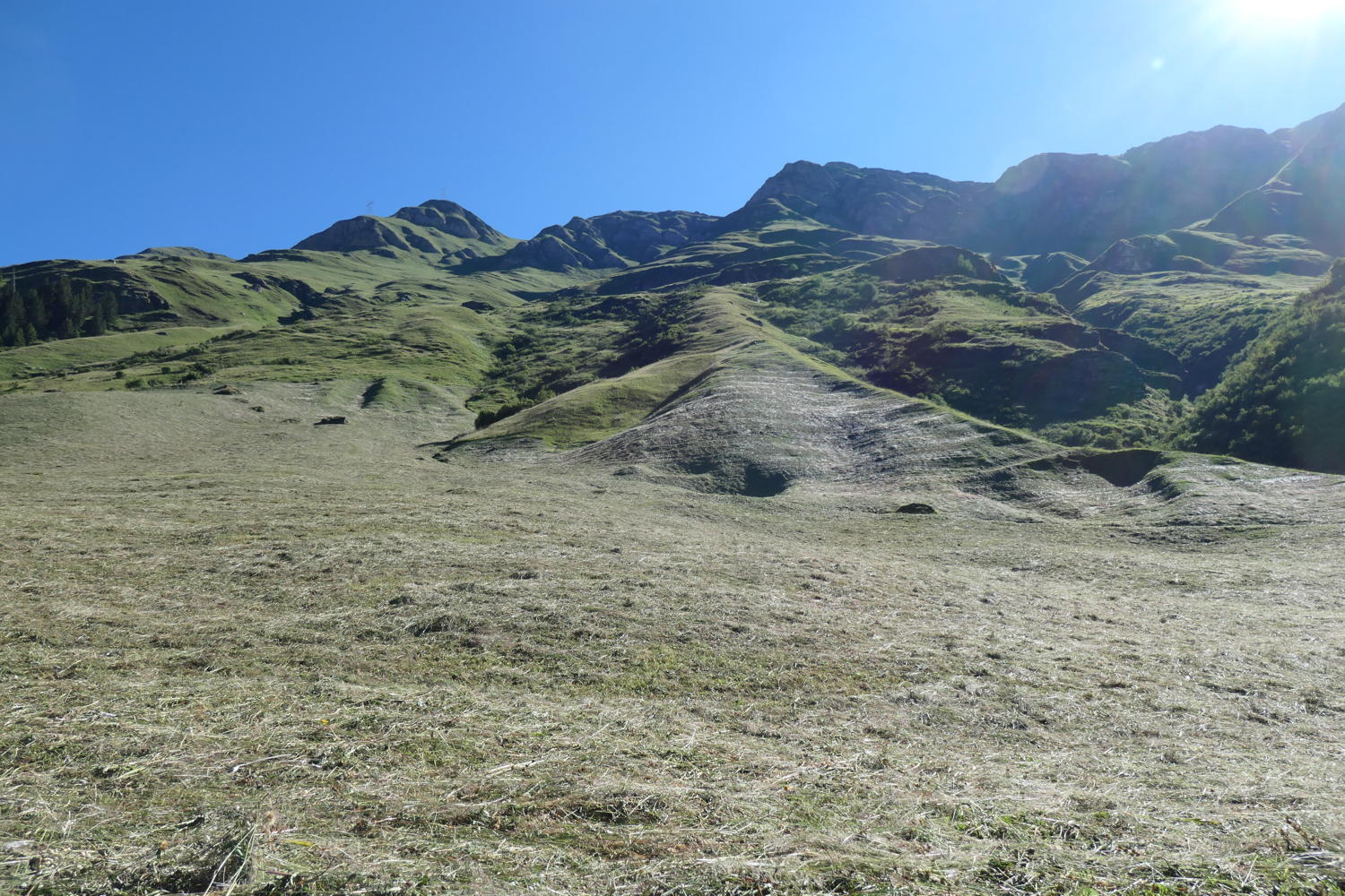 p1000735.jpg