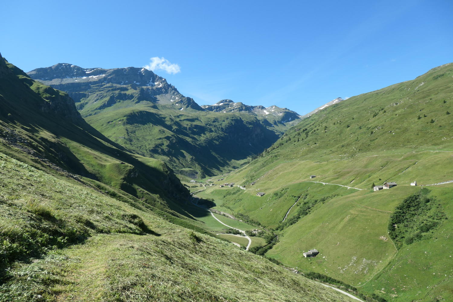 p1000736.jpg