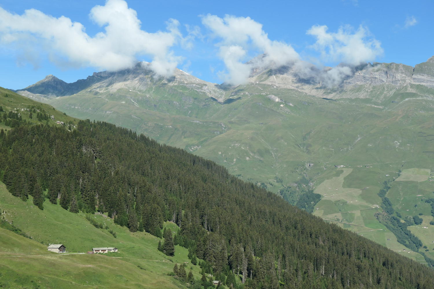 p1000737.jpg