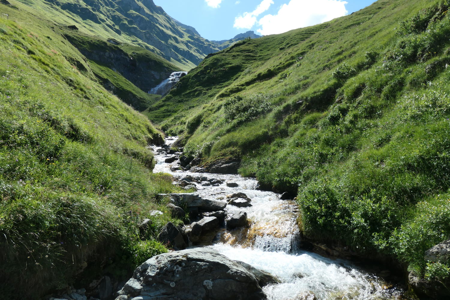 p1000738.jpg