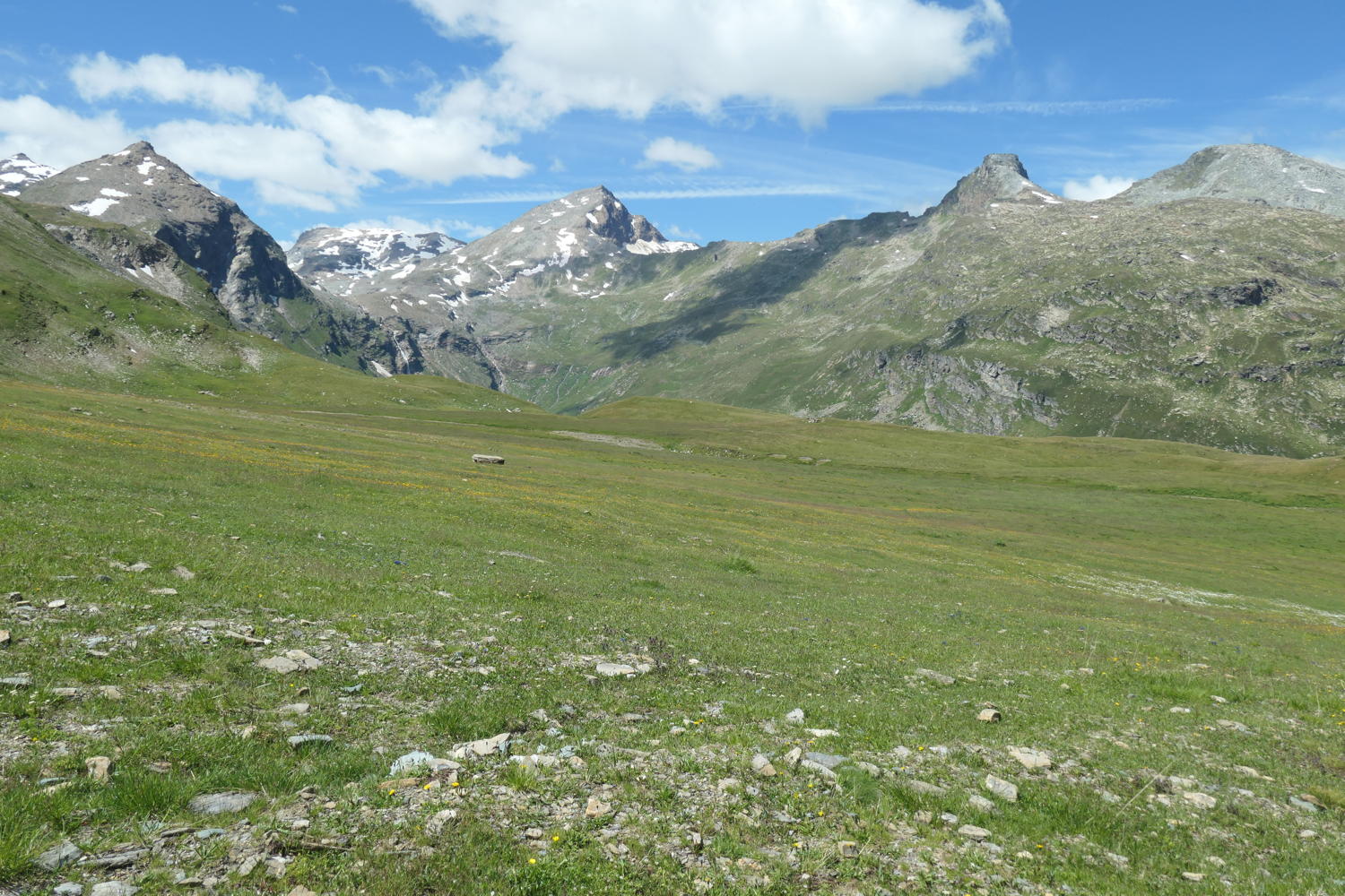 p1000744.jpg
