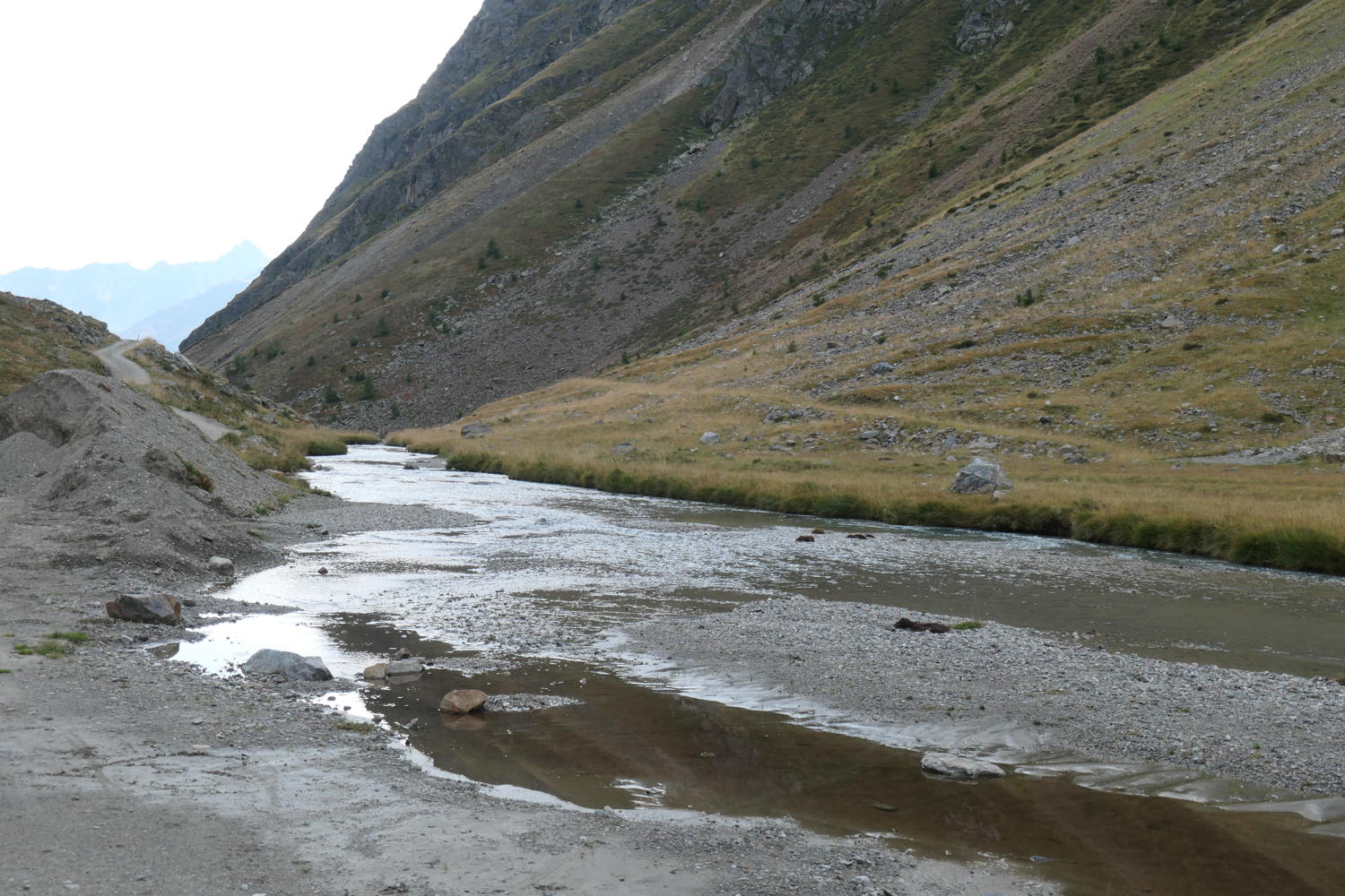 p1001035.jpg