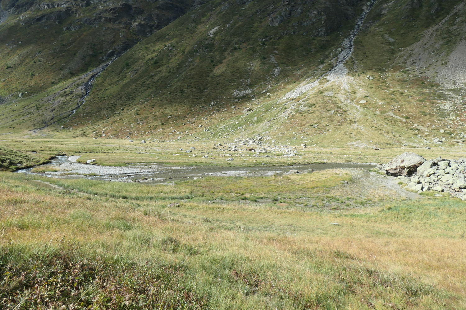 p1001044.jpg