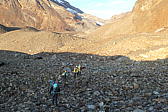 p1001040.jpg
