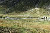 p1001044.jpg