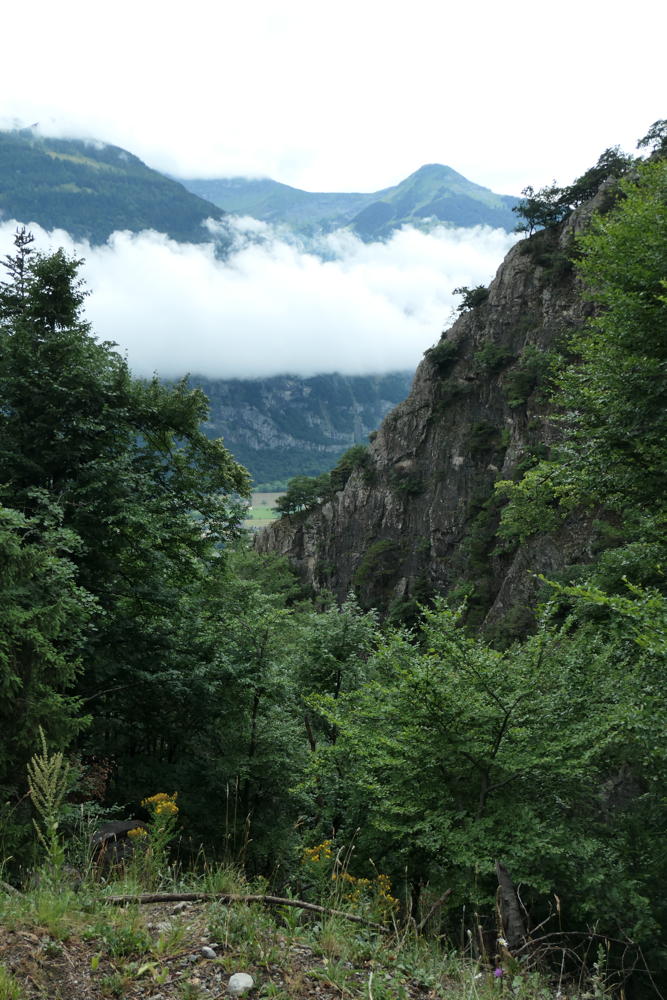 p1000669.jpg