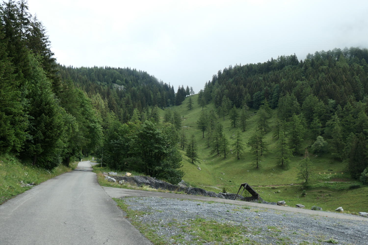 p1000672.jpg