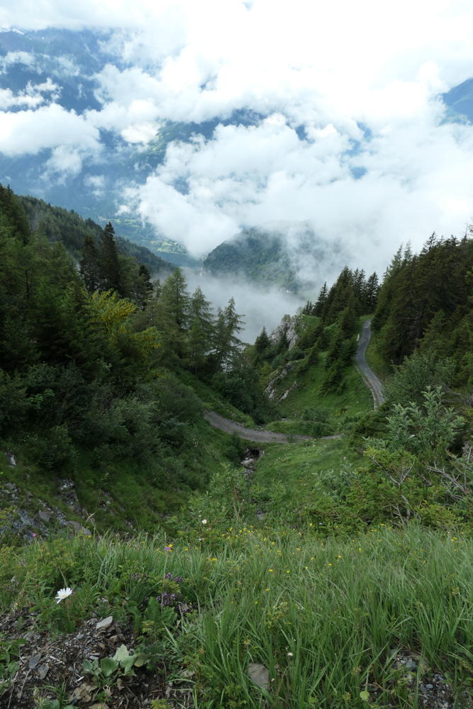 p1000674.jpg