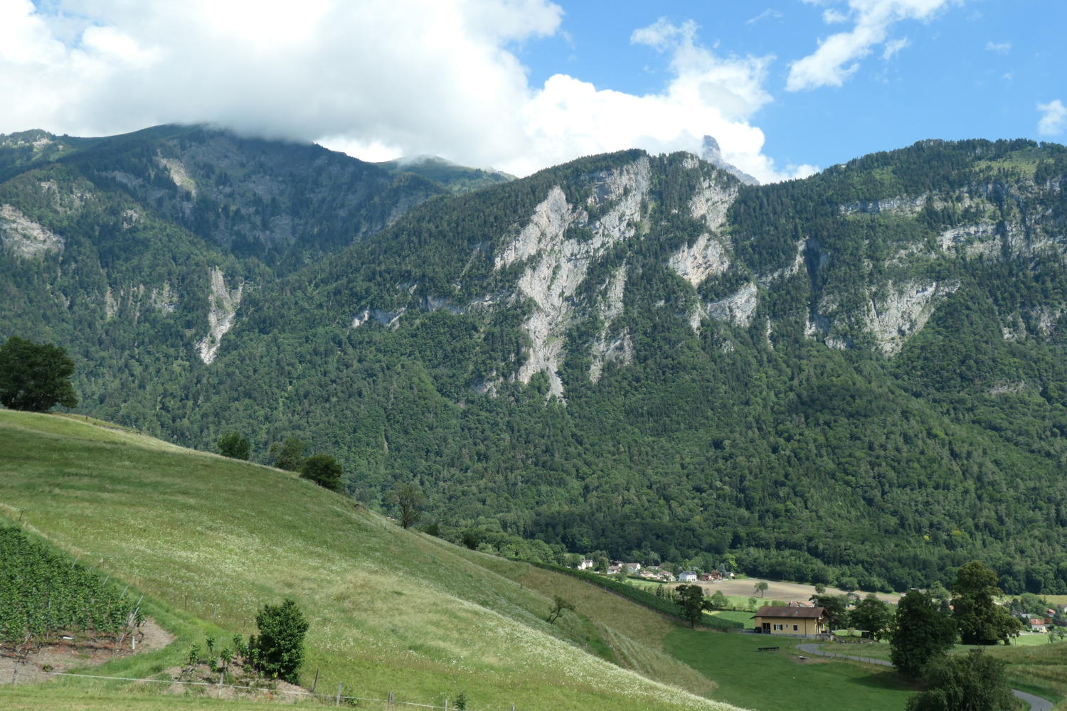 p1000685.jpg