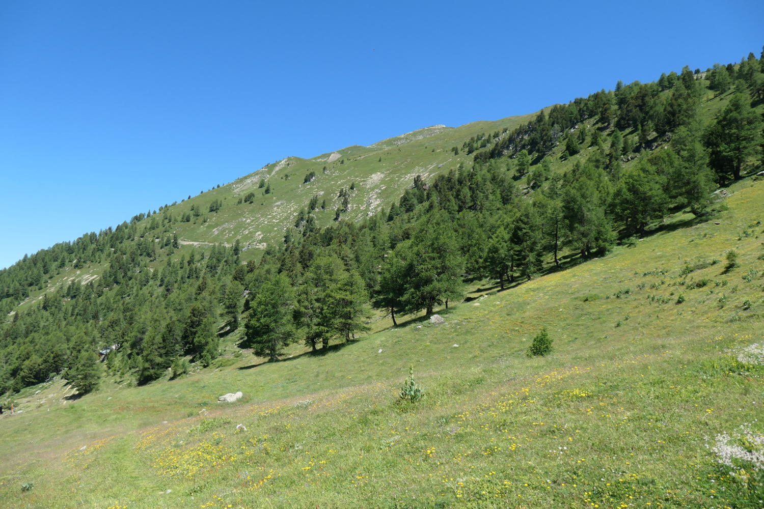 p1000688.jpg