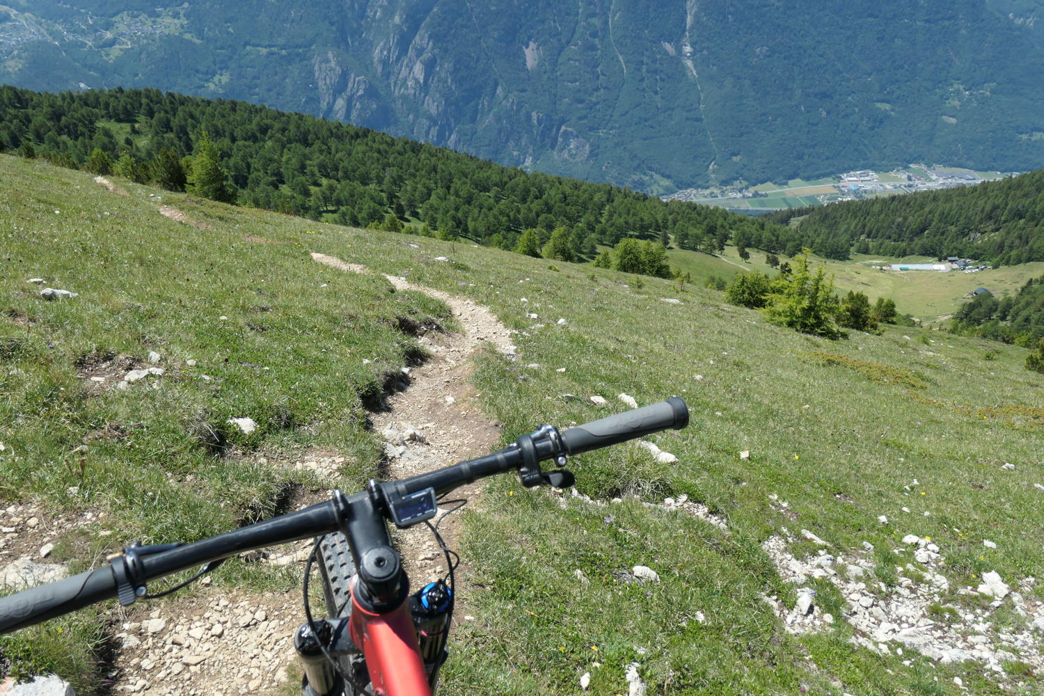 p1000699.jpg