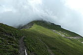 p1000679.jpg