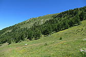 p1000688.jpg