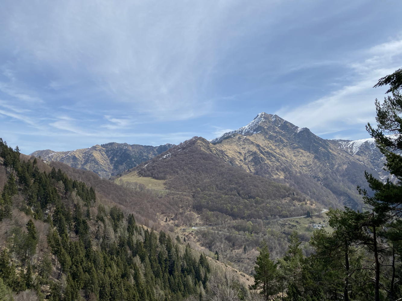 img_1882.jpg