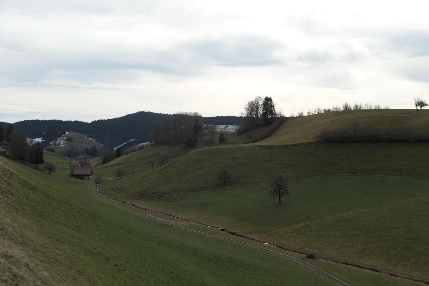 p1030637.jpg