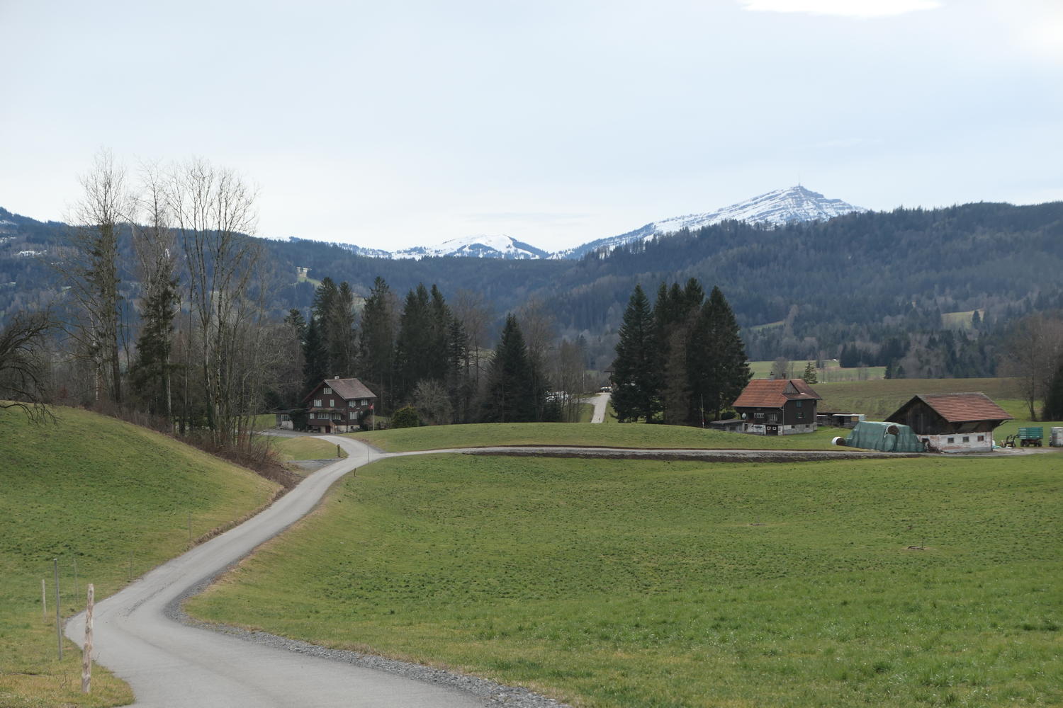 p1030649.jpg