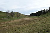 p1030639.jpg