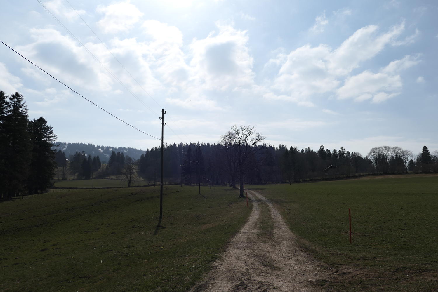 p1030973.jpg