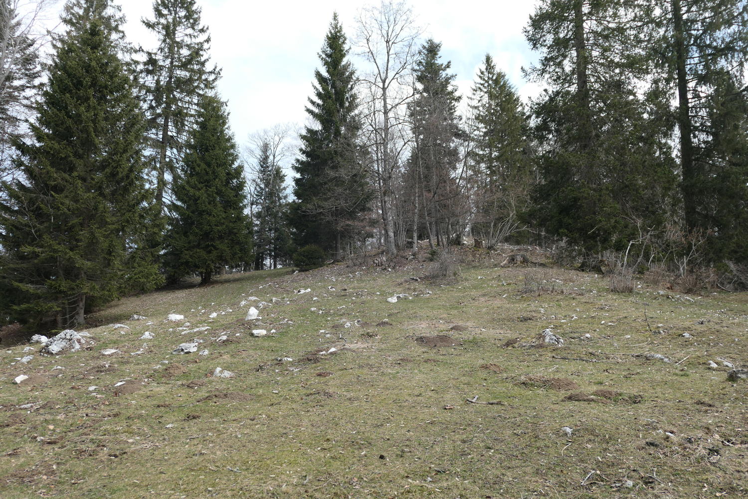 p1030975.jpg