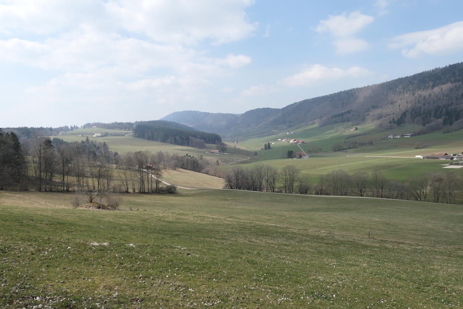 p1030977.jpg
