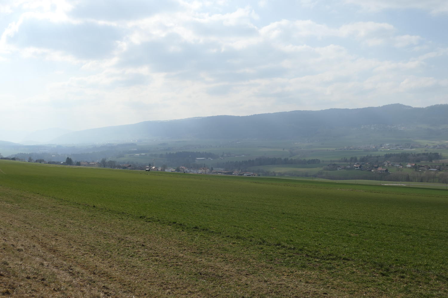 p1030983.jpg