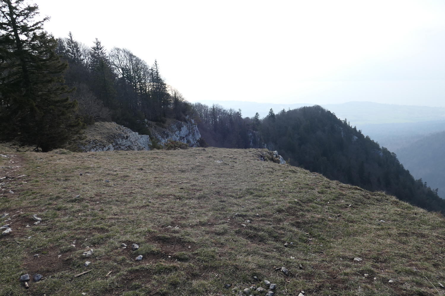 p1030999.jpg