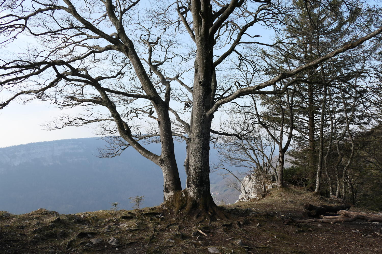 p1040002.jpg