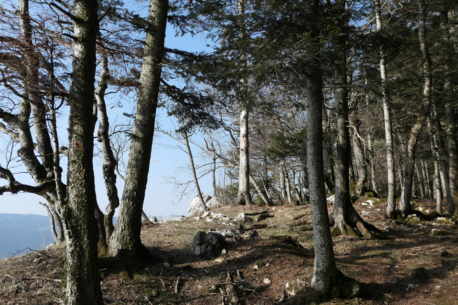 p1040004.jpg