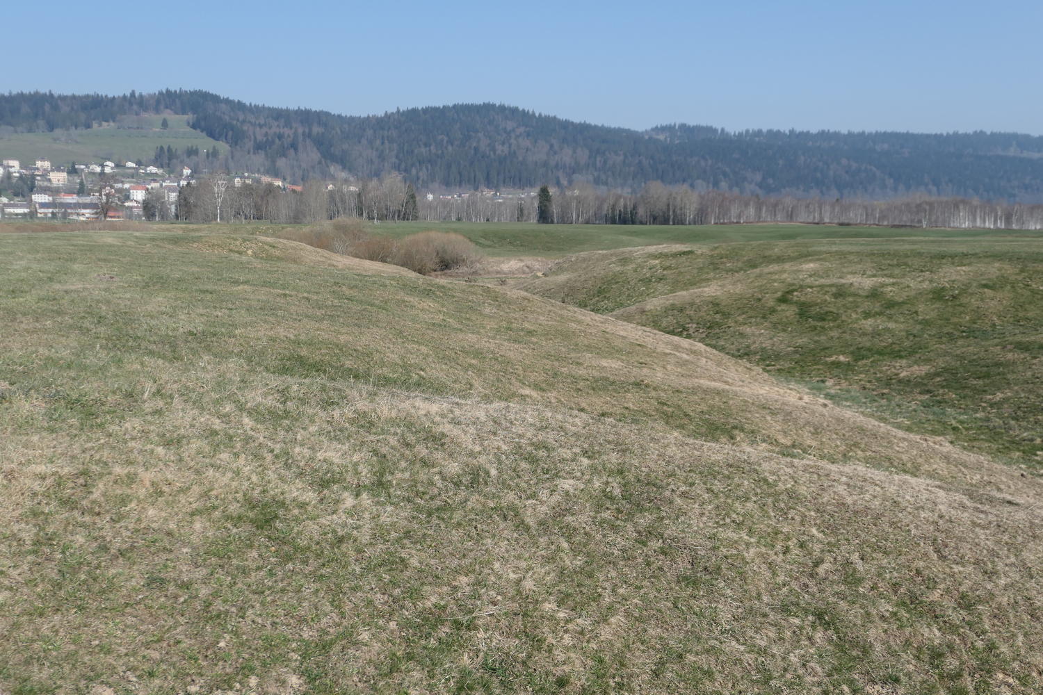 p1040010.jpg