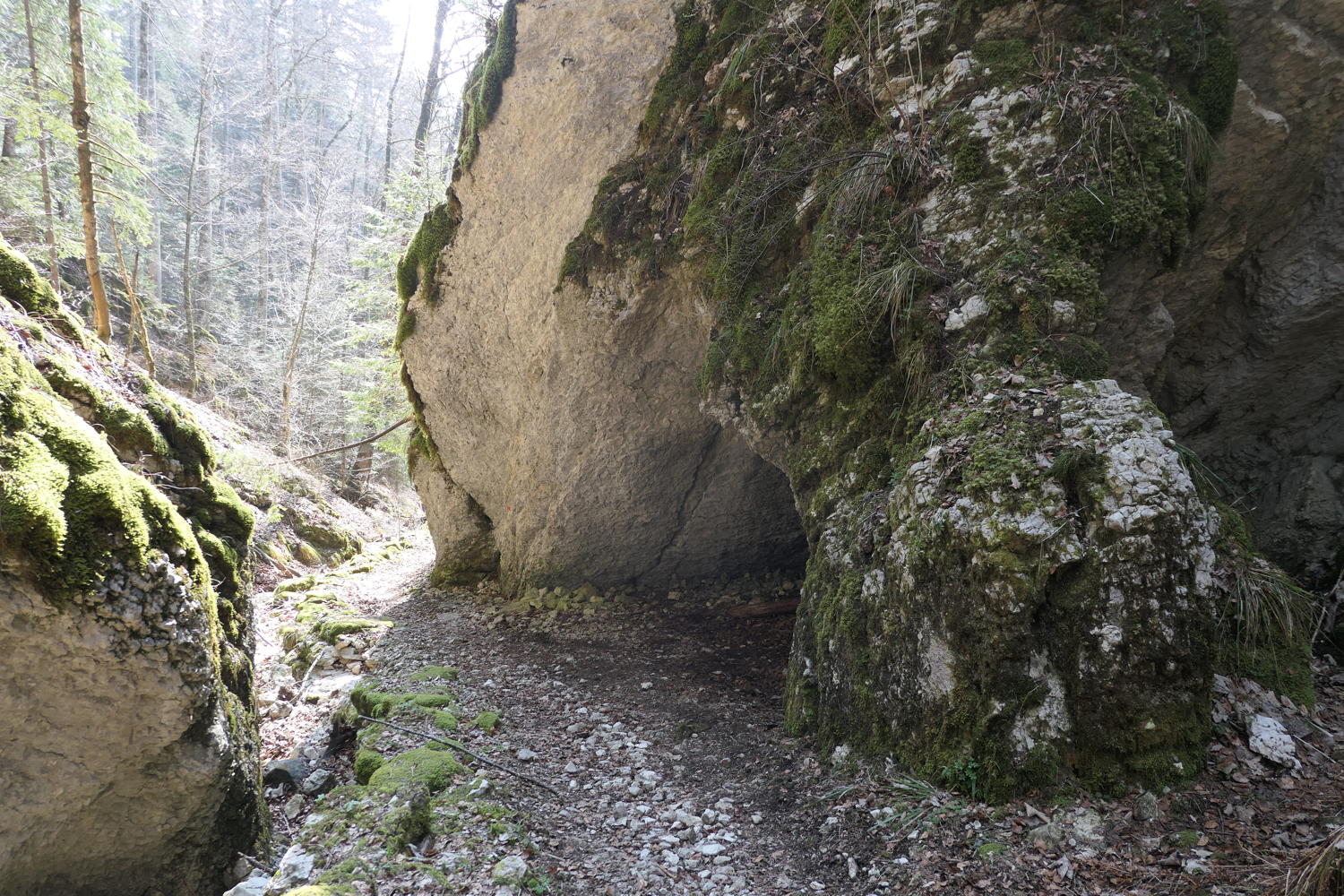 p1040015.jpg