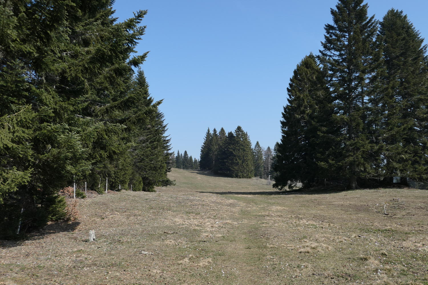 p1040018.jpg