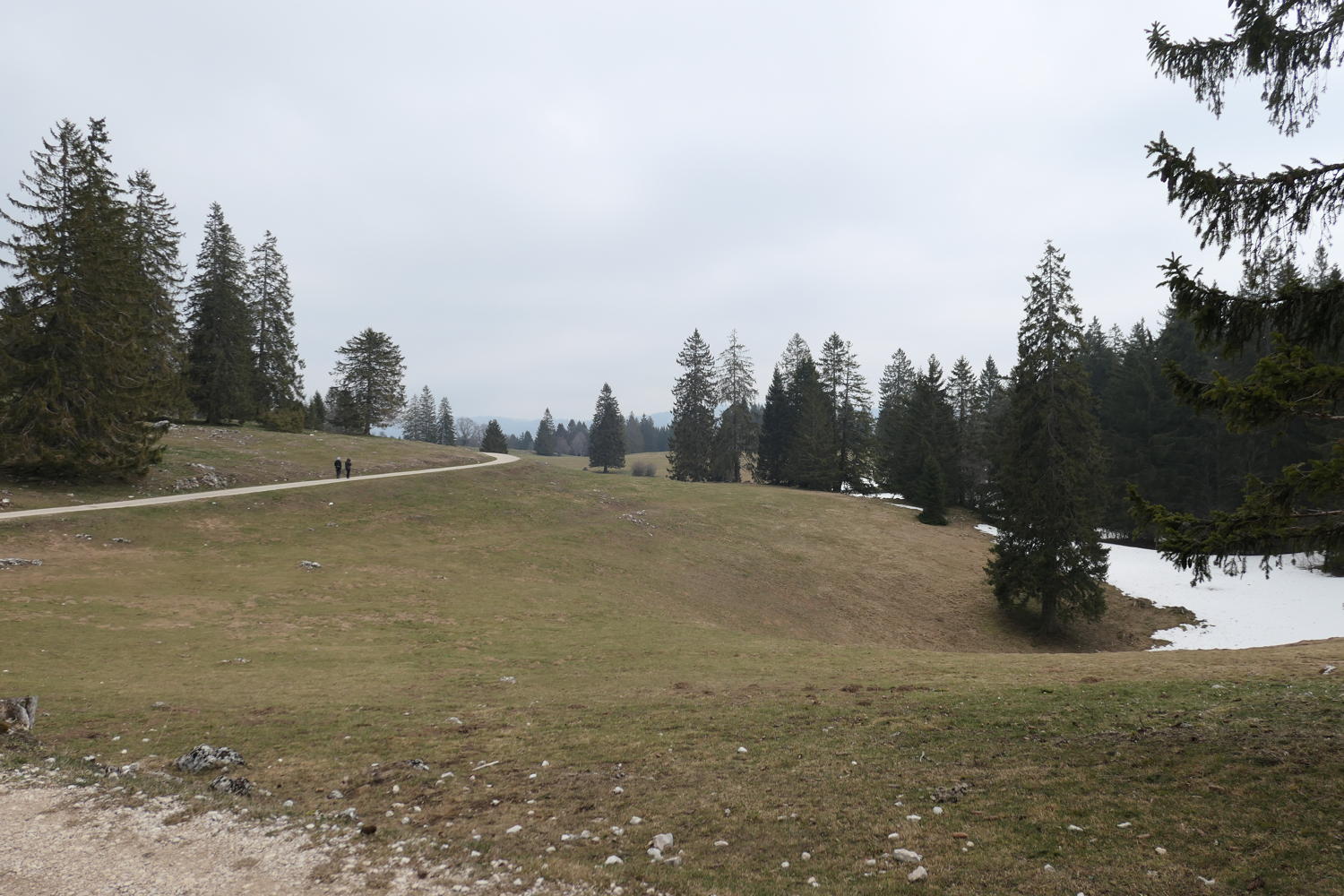 p1040019.jpg