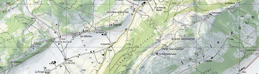 Zum Tourenplan