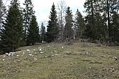 p1030975.jpg