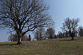 p1030979.jpg
