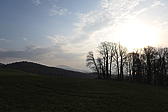 p1030992.jpg