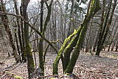 p1030995.jpg