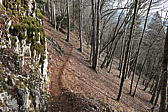 p1030996.jpg