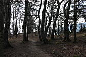 p1030998.jpg