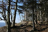 p1040004.jpg