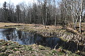 p1040008.jpg