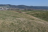 p1040010.jpg