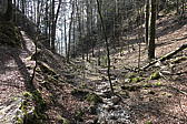 p1040014.jpg