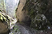 p1040015.jpg