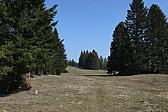 p1040018.jpg