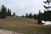 p1040019.jpg