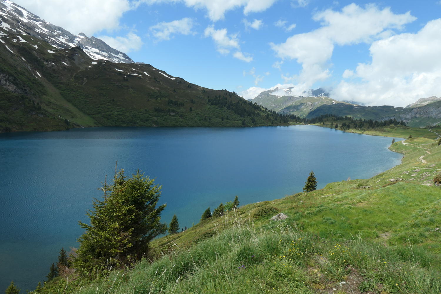 p1000432.jpg