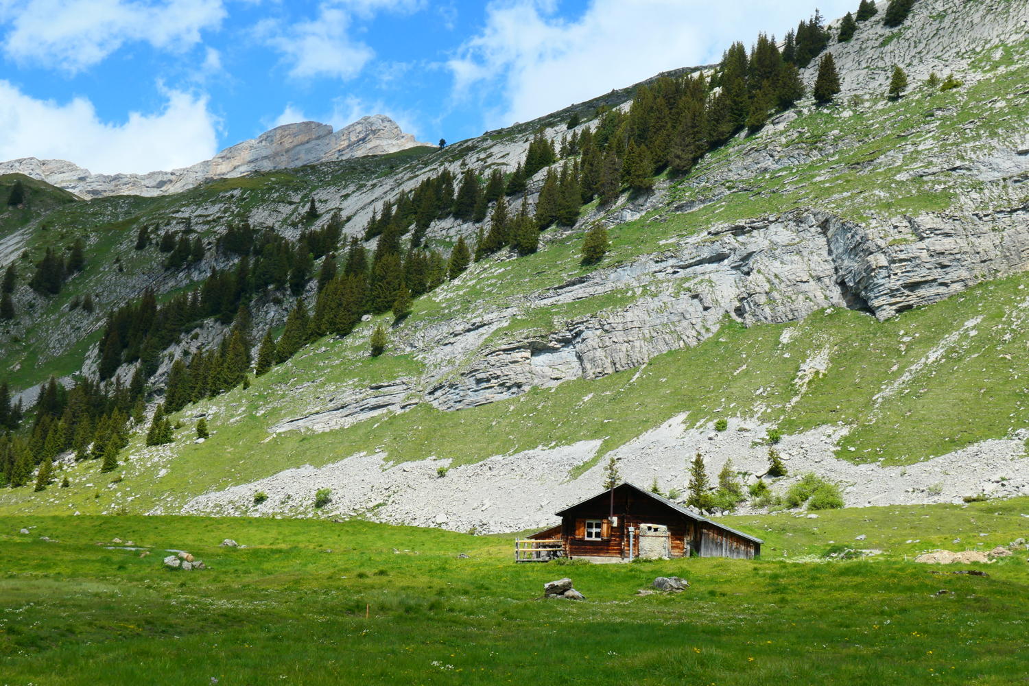 p1000434.jpg