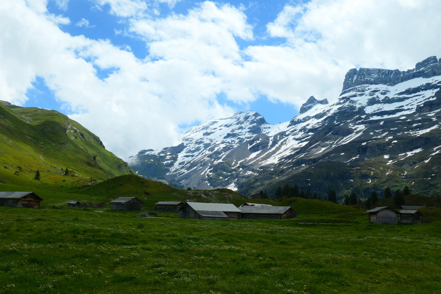 p1000435.jpg