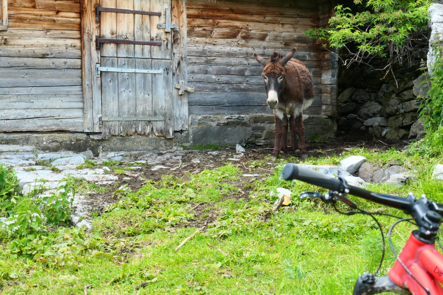 p1000439.jpg